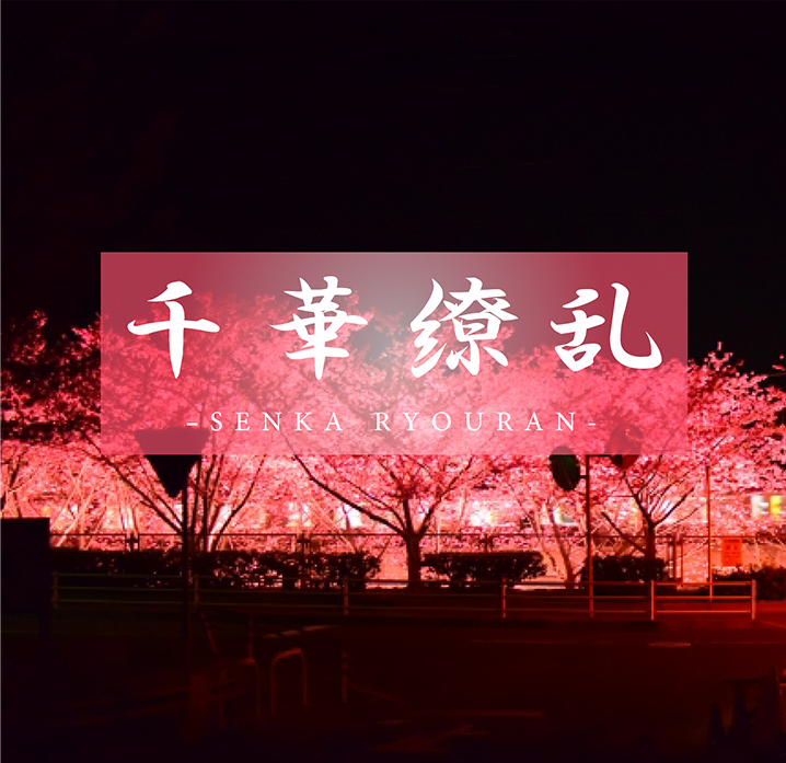 【严冬的向日葵】还什么都不知道。不染的究极的清纯。被向日葵一样的笑容所隐藏的真正的自己。yula 18岁-cd1